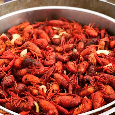 LandShark Seafood & Catfish - Hattiesburg food truck in Hattiesburg