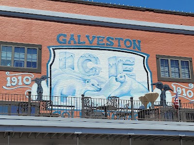 Galveston Island Tacos food truck