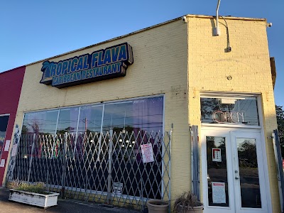 Tropical Flava food truck in Macon